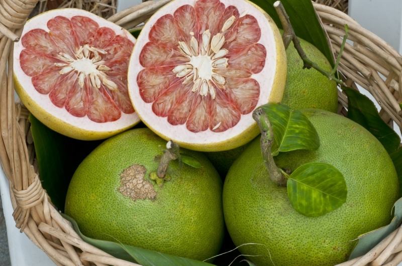 Nguồn tổng hợp nhiều chất  chống oxy hóa