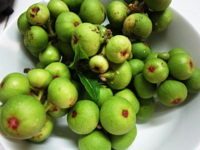 Sung như một loại thuốc kích dục tự nhiên