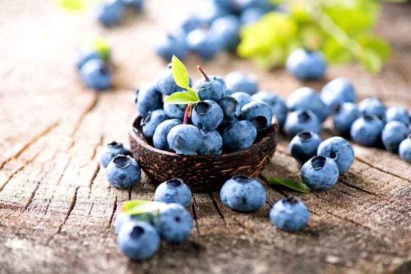 Quả việt quất chứa rất nhiều các loại vitamin, khoáng chất và chất chống oxy hóa