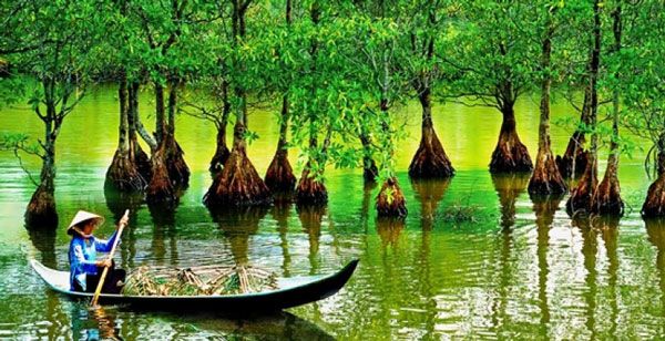 Lưu ý khi đi du lịch Cần Giờ