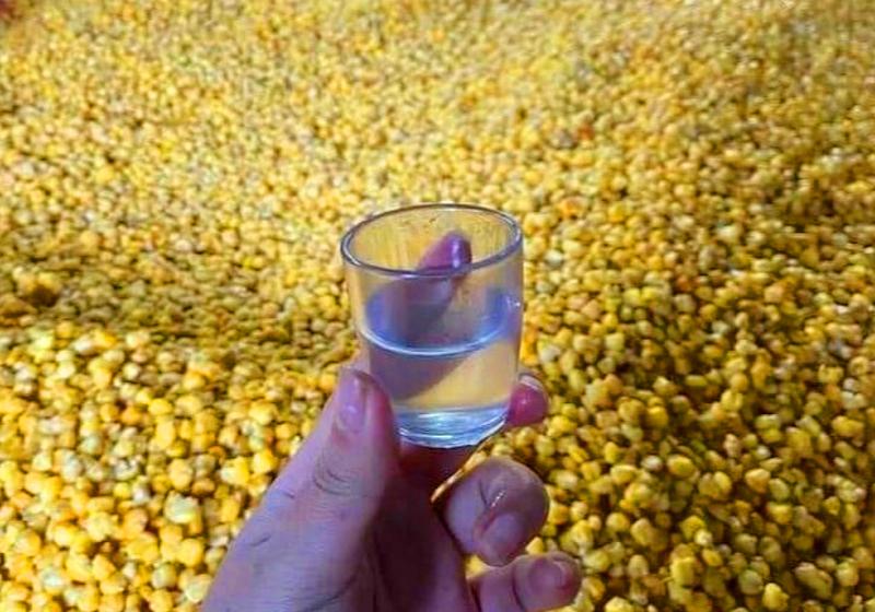 Rượu ngô men lá Quản Bạ
