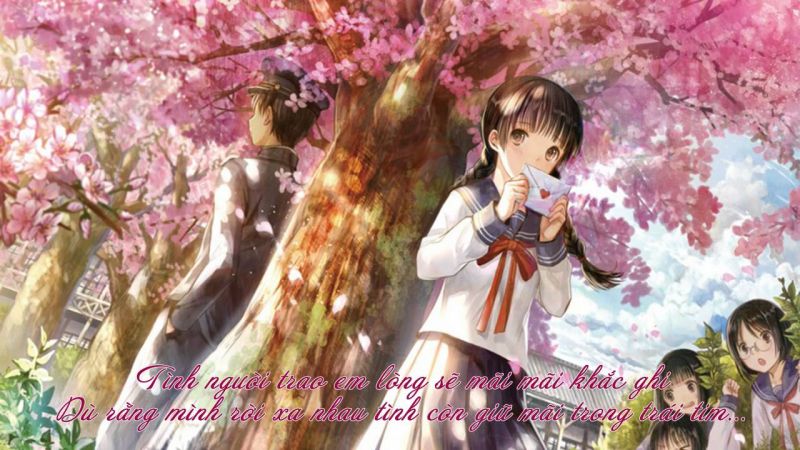 Sakura