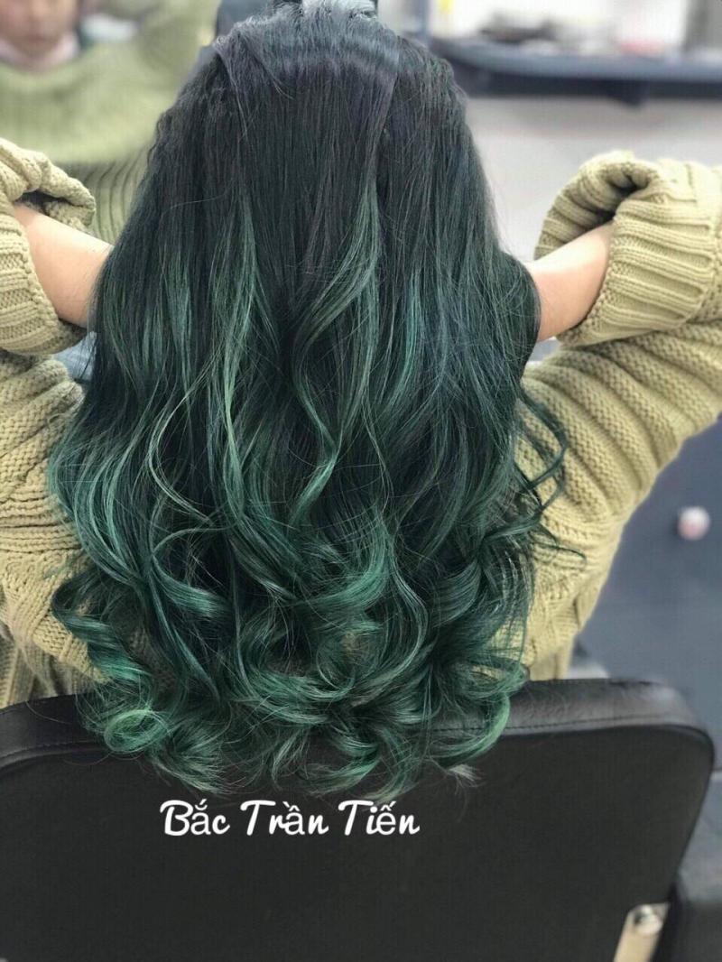 Bắc Trần Tiến - Cà Mau
