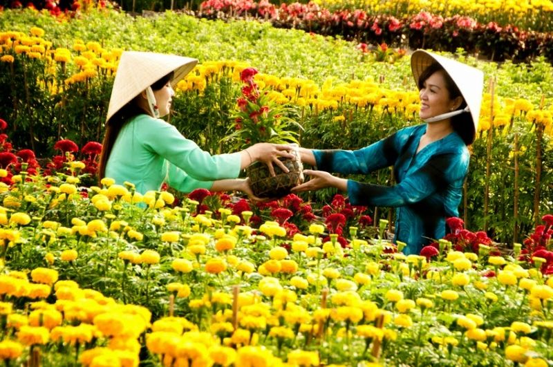 Làng hoa kiểng Sa Đéc - Đồng Tháp.