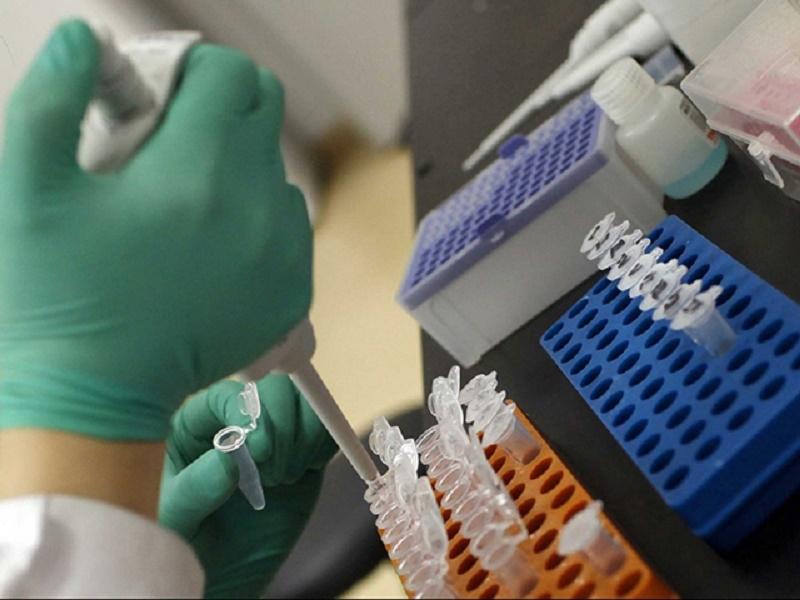 HPV là một loại virus