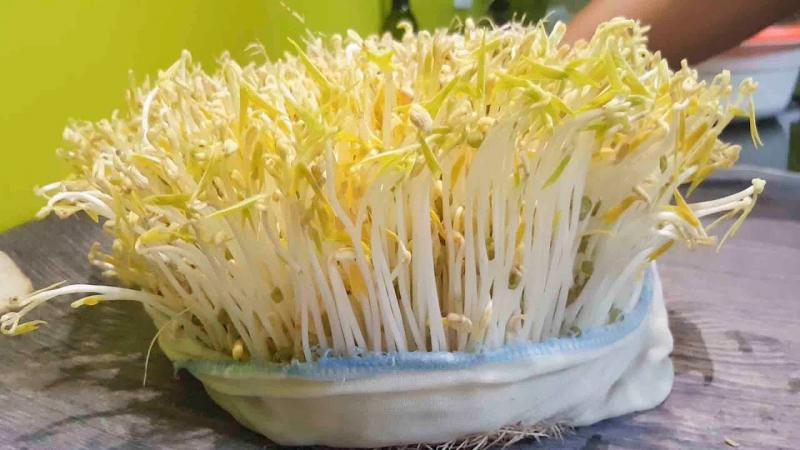 Tăng cường hệ miễn dịch