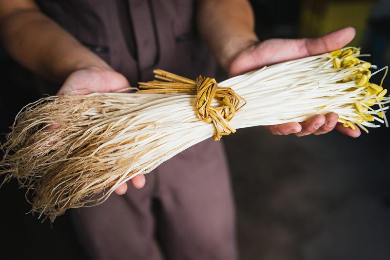 Tăng cường hệ miễn dịch