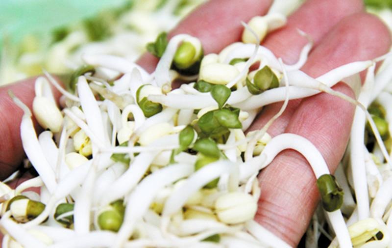 Bổ sung vitamin cho mắt