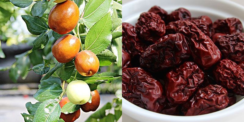 Táo tàu tăng cường thể lực cho nam giới