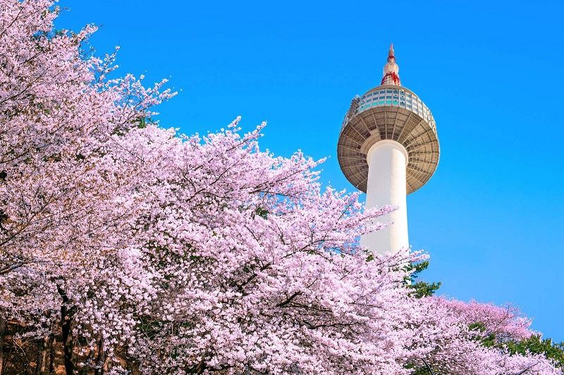 Tháp Namsan