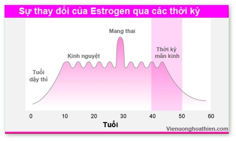 Nội tiết tố cụ thể là lượng estrogen tăng cao là nguyên nhân phổ biến của trầm cảm