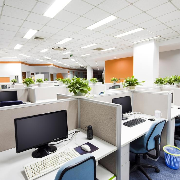 Cây xanh được để khắp các gian làm việc
