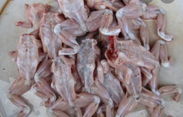 Thịt cóc