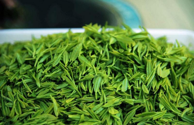 Trà xanh có chứa chất chống oxy hóa mạnh mẽ, giúp ngừa sự lây nhiễm Virus