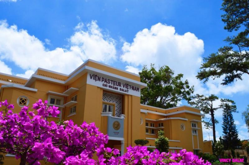 Trung tâm Y Khoa Pasteur Đà Lạt