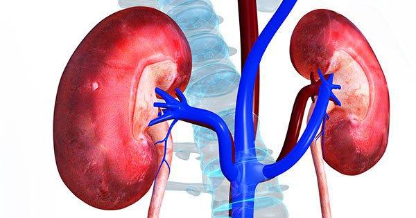 Từ 17-19 giờ: Thời gian giải độc thận