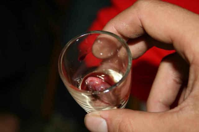 Uống máu và ăn tim rắn