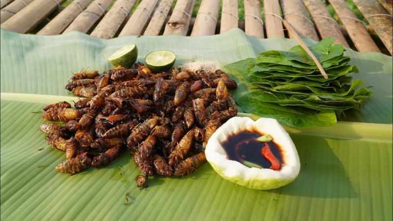 Ve sầu chiên giòn
