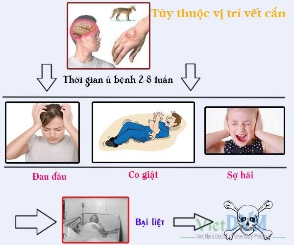 Virus dại