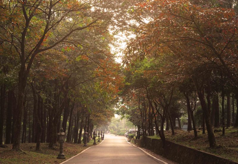 Vườn Quốc gia Ba Vì
