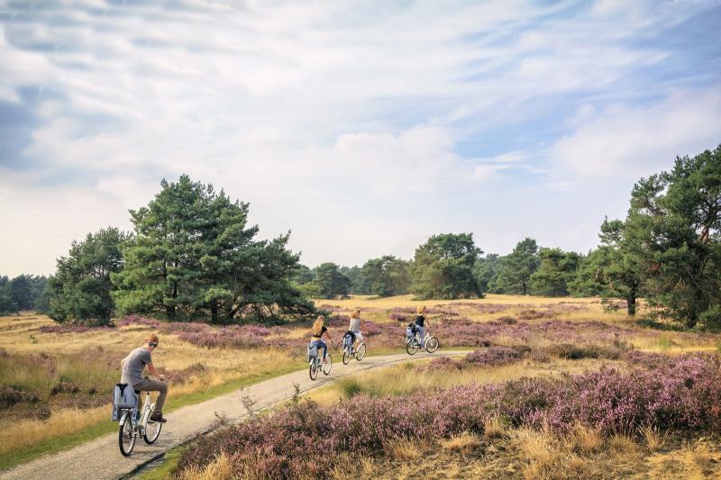 Công viên Quốc gia Hoge Veluwe