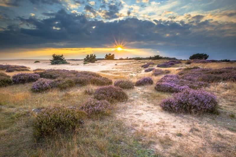 Công viên Quốc gia Hoge Veluwe