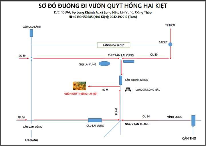 Vườn quýt hồng Hai Kiệt