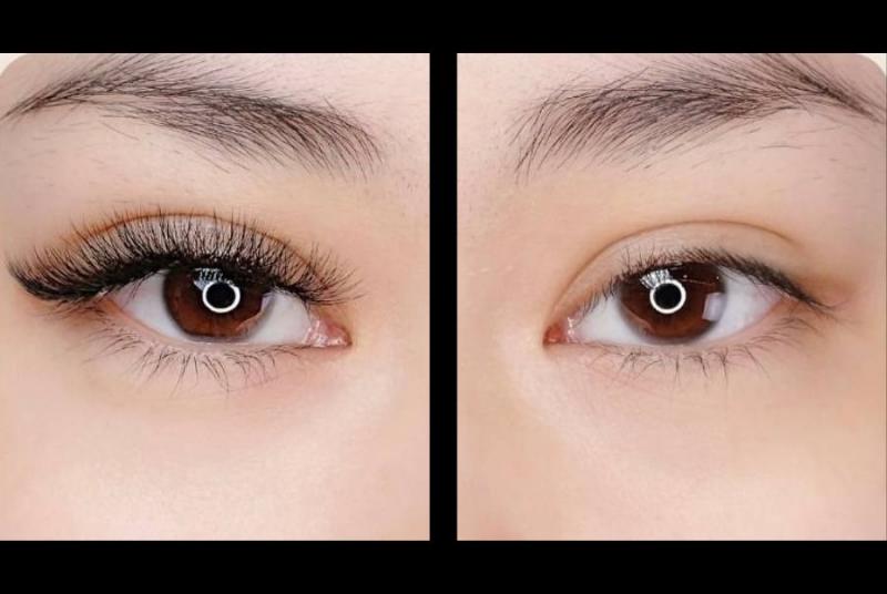 Wings Lashes
