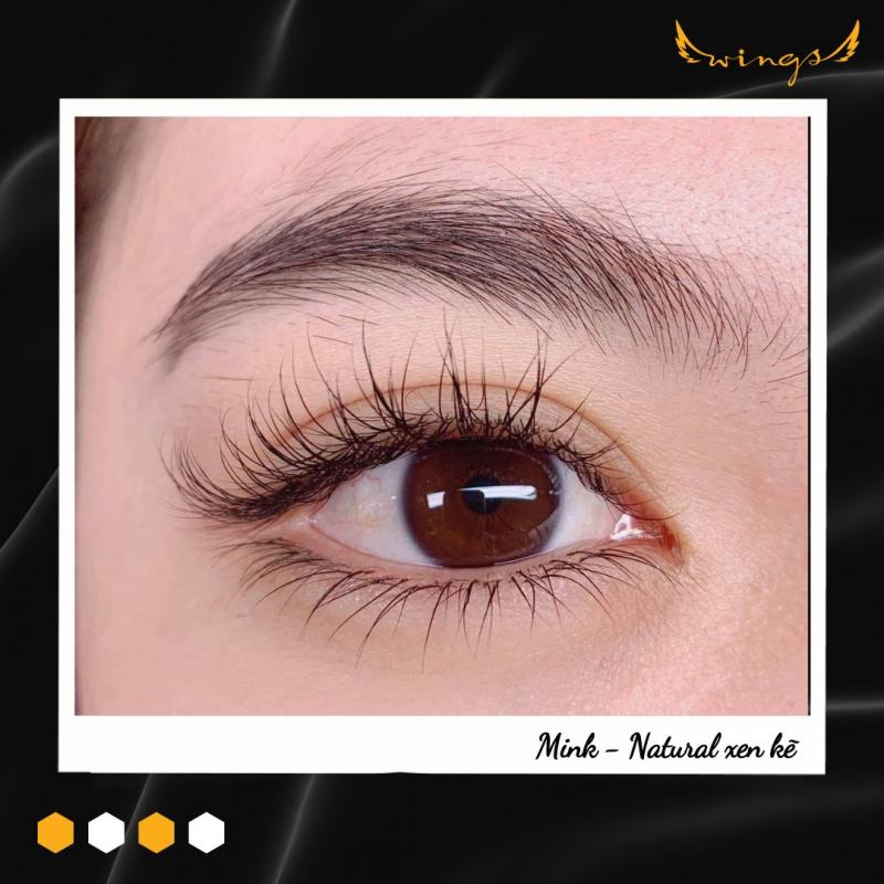 Wings Lashes